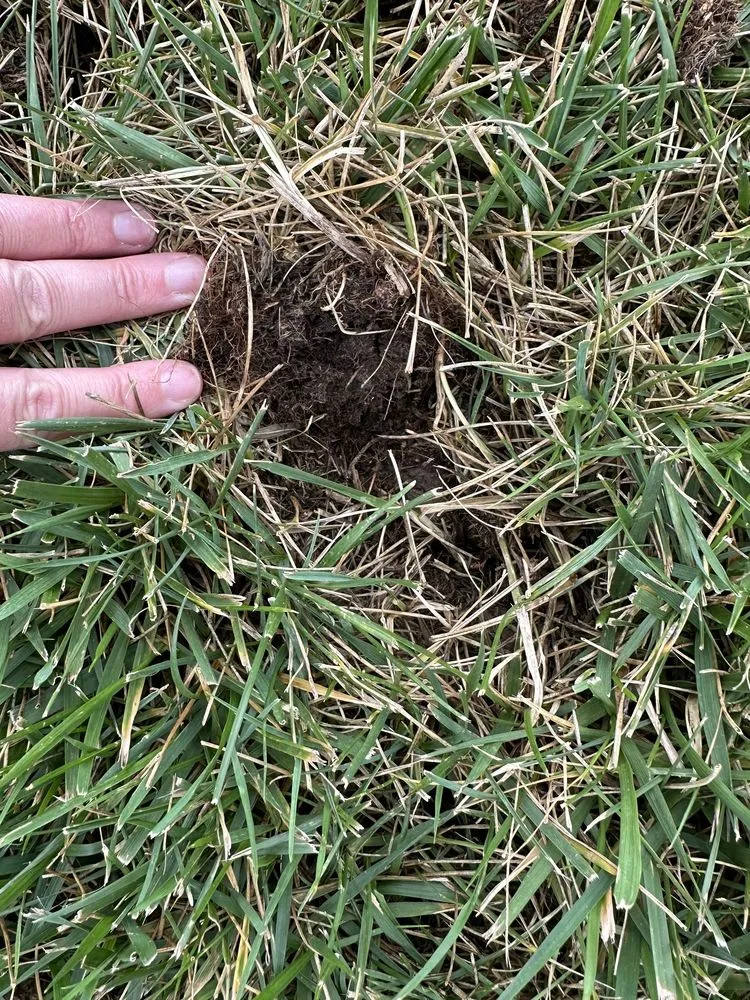 Professional garden landscaping in Ofallon, MO - Archway Lawn Care