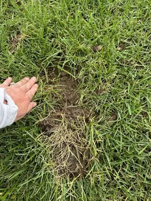 Archway Lawn Care Logo