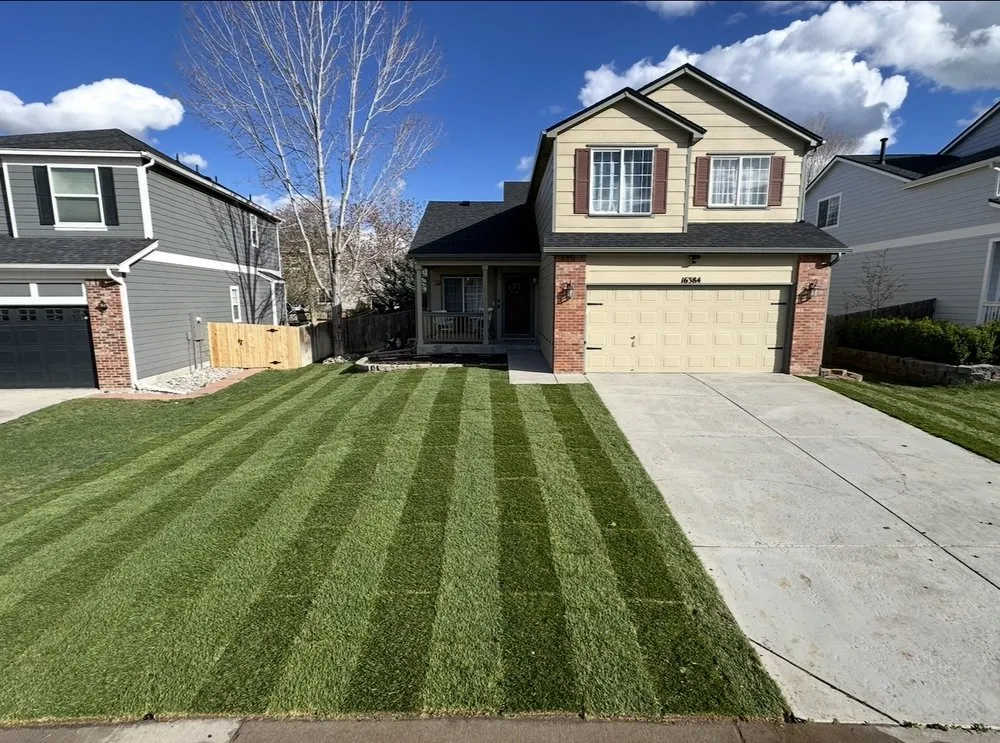 Affordable yard cleanup service for beautiful yards across Edgewater, CO - Archy's Lawn Care & Landscape