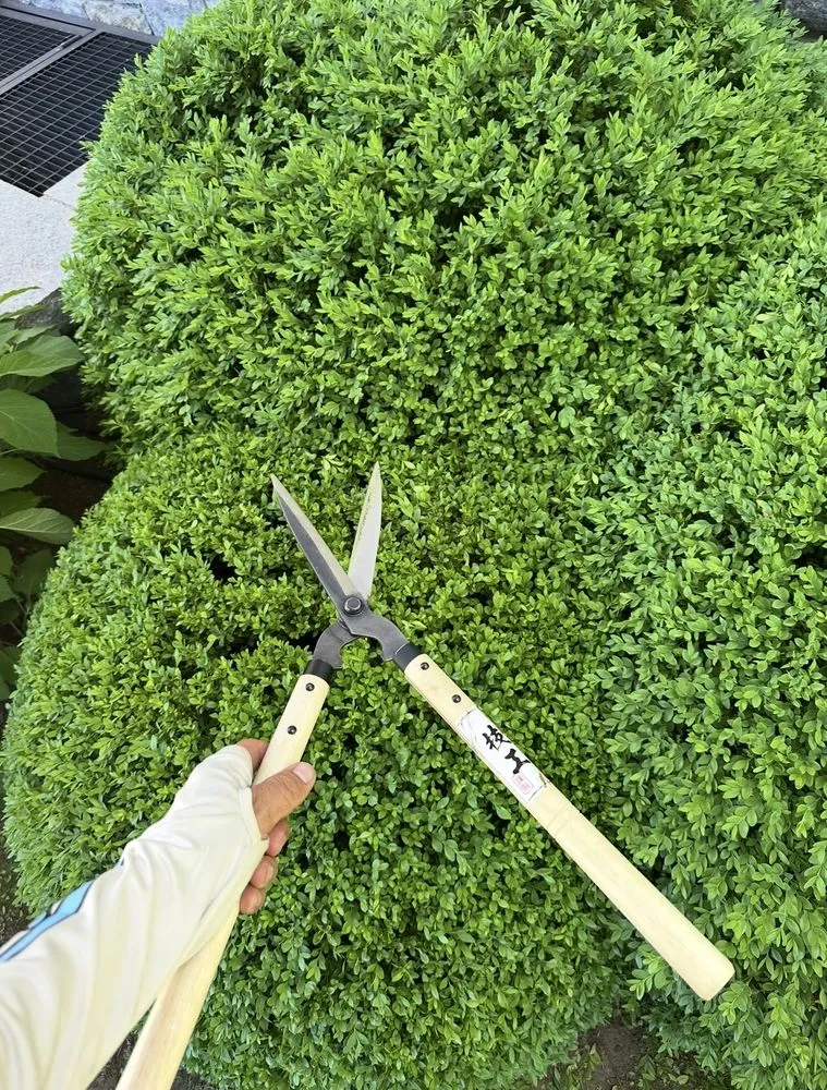 Local landscape installation experts serving Edgewater, CO - Archy's Lawn Care & Landscape