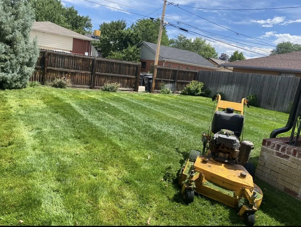 Trusted landscape design in Edgewater, CO - Archy's Lawn Care & Landscape