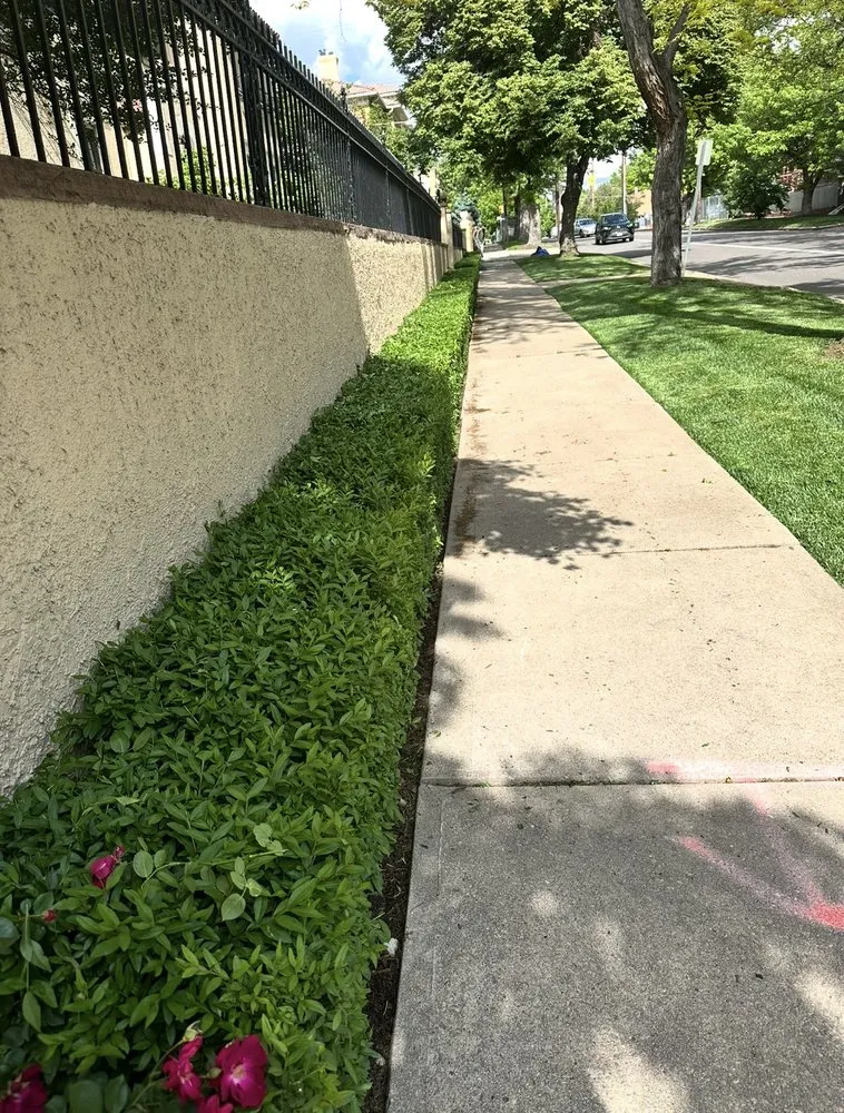 Custom residential landscaping in Edgewater, CO by Archy's Lawn Care & Landscape