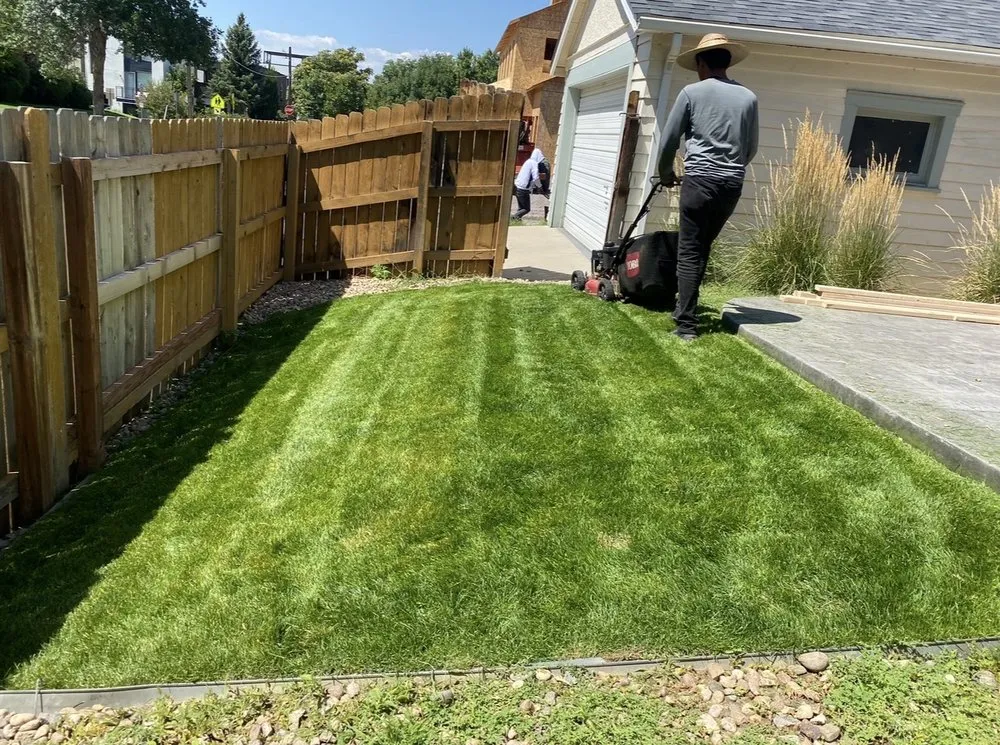 Expert garden landscaping near you in Edgewater, CO by Archy's Lawn Care & Landscape