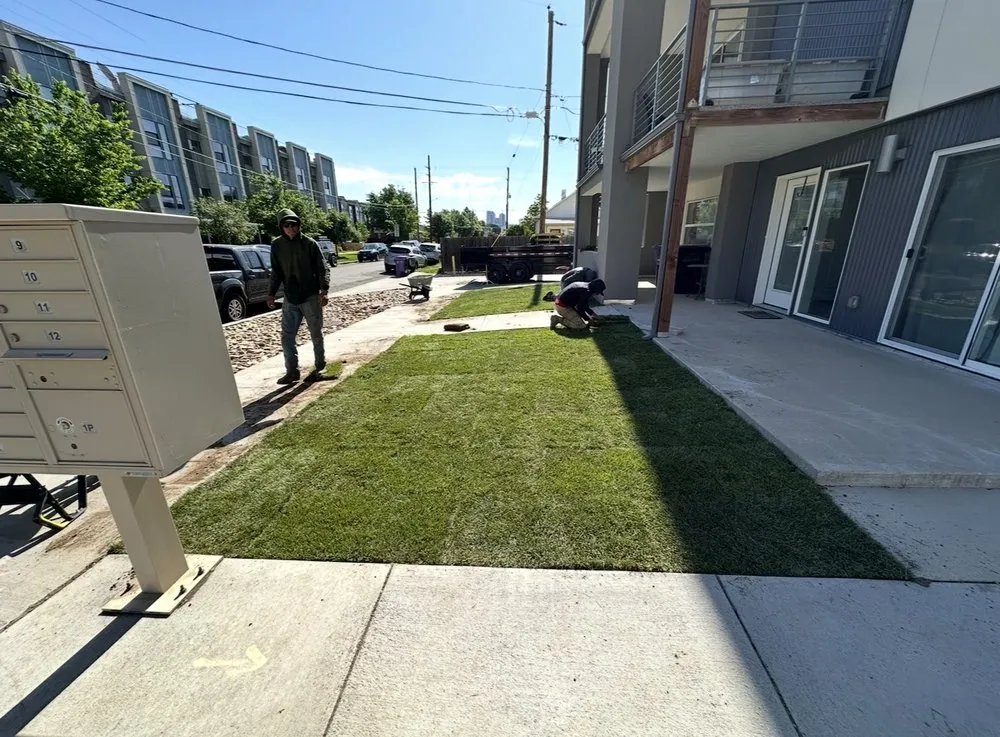 Reliable landscaping services experts serving Edgewater, CO - Archy's Lawn Care & Landscape