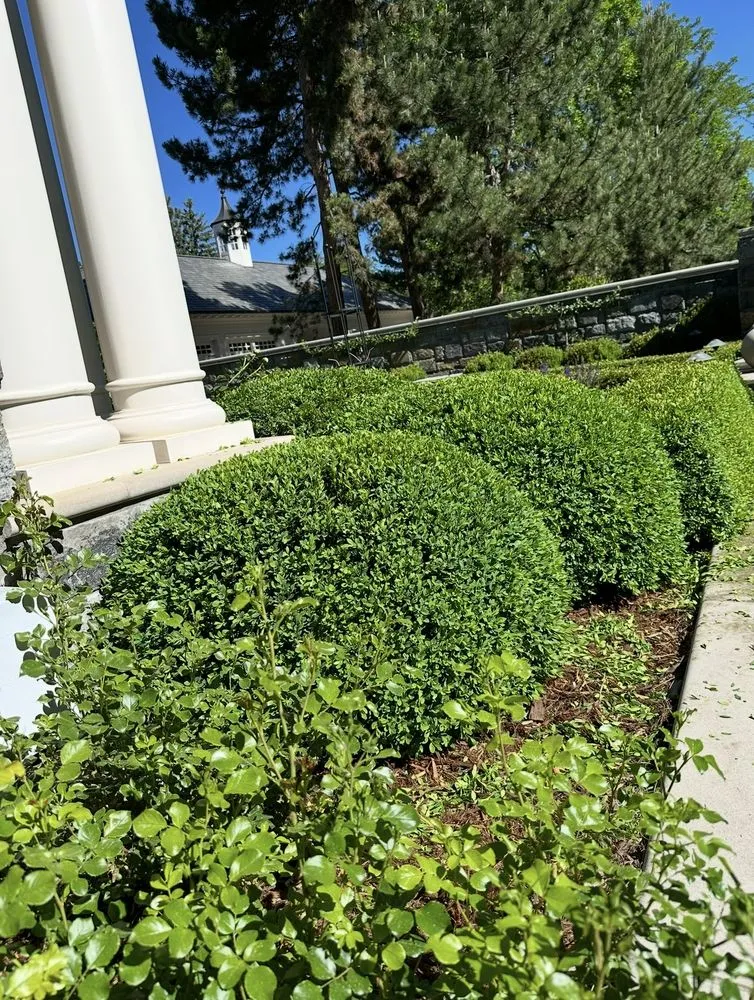 Trusted landscape installation in Edgewater, CO - Archy's Lawn Care & Landscape