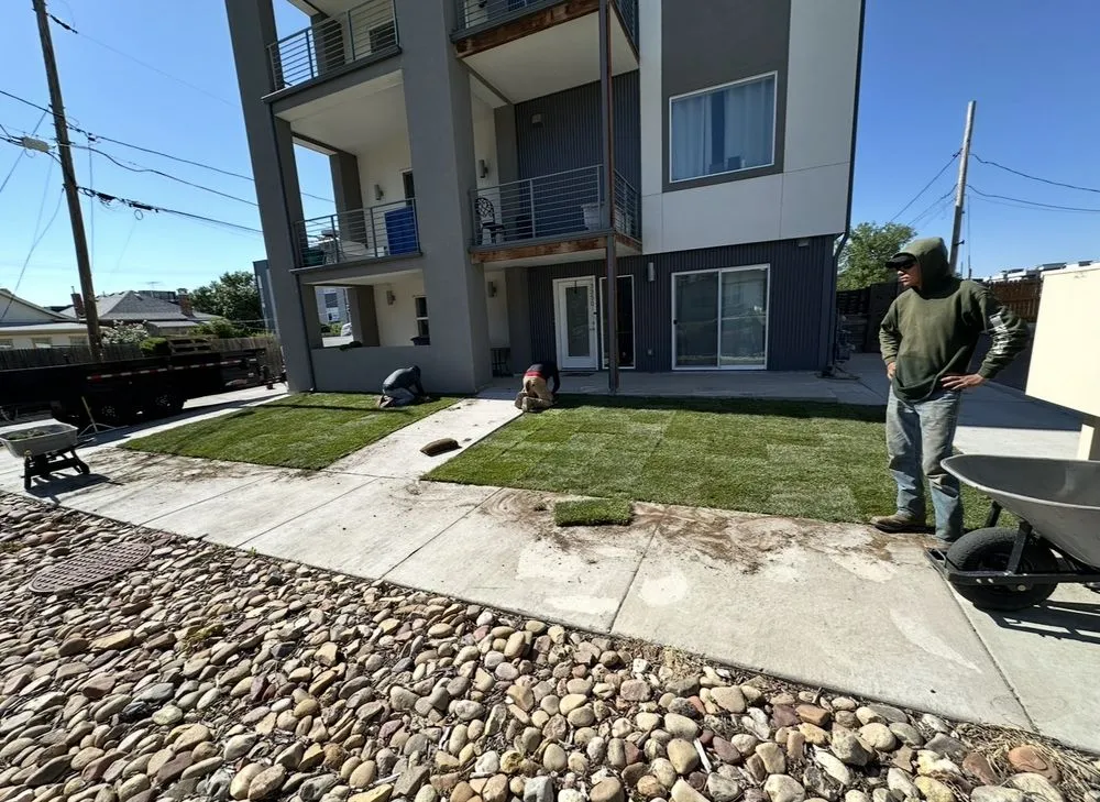 Top-rated yard maintenance in Edgewater, CO - Archy's Lawn Care & Landscape