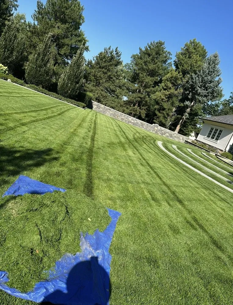 Top-rated landscape design in Edgewater, CO by Archy's Lawn Care & Landscape