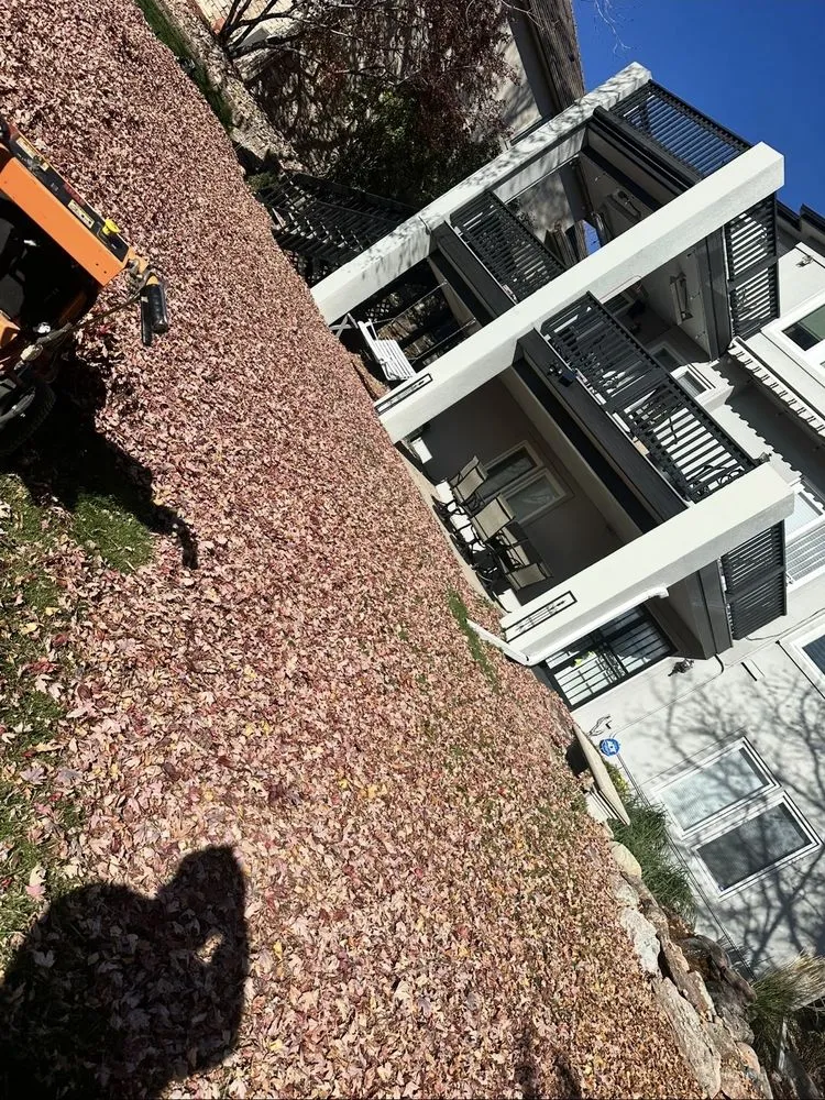 Top-rated yard maintenance experts serving Edgewater, CO - Archy's Lawn Care & Landscape