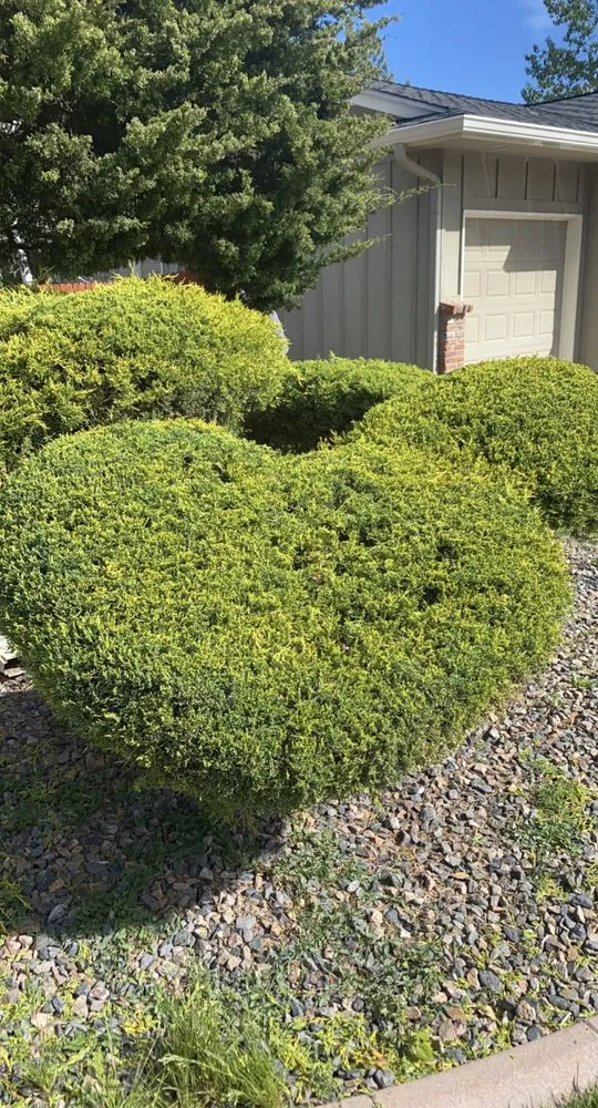 Top-rated yard cleanup service for outdoor upgrades across Edgewater, CO - Archy's Lawn Care & Landscape