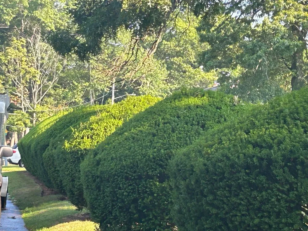 Custom yard cleanup service experts serving Wyandanch, NY - Arciles General Contracting