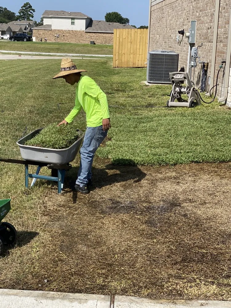 Professional yard cleanup service in Houston, TX - Arcos Lawn Care