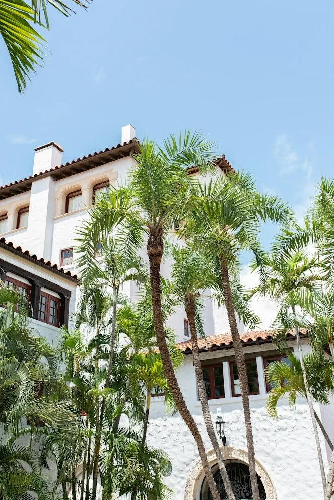 Expert outdoor landscaping in Miami Beach, FL by Arc'Scape