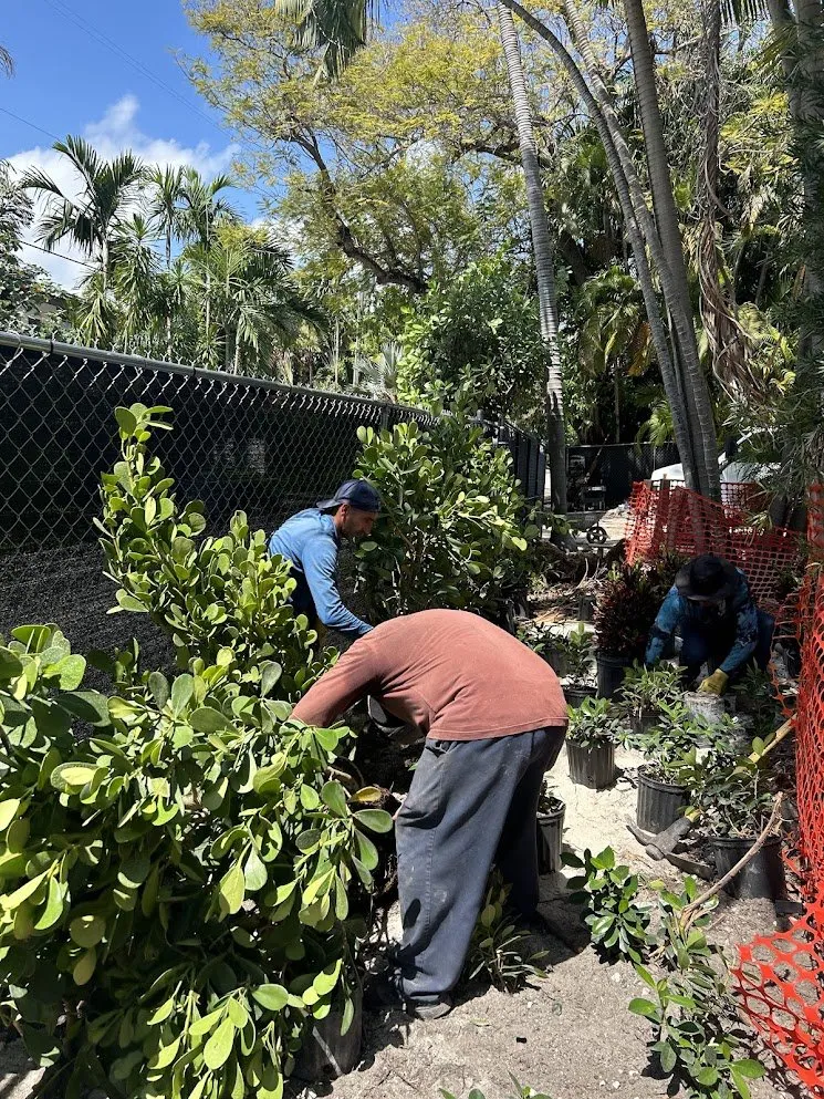 Affordable lawn mowing service in Miami Beach, FL - Arc'Scape