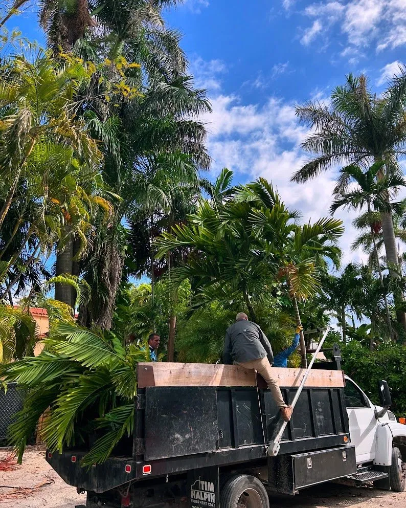 Reliable lawn mowing service experts serving Miami Beach, FL - Arc'Scape