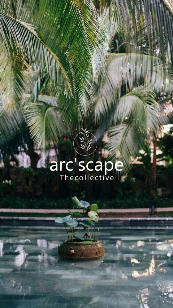 Trusted yard cleanup service near you in Miami Beach, FL by Arc'Scape