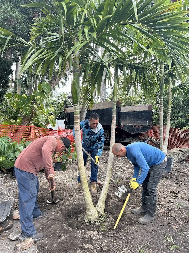 Affordable landscape installation in Miami Beach, FL - Arc'Scape