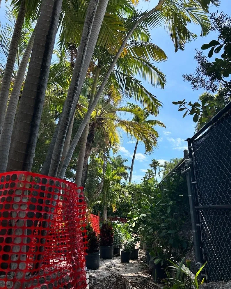 Professional landscaping services in Miami Beach, FL by Arc'Scape