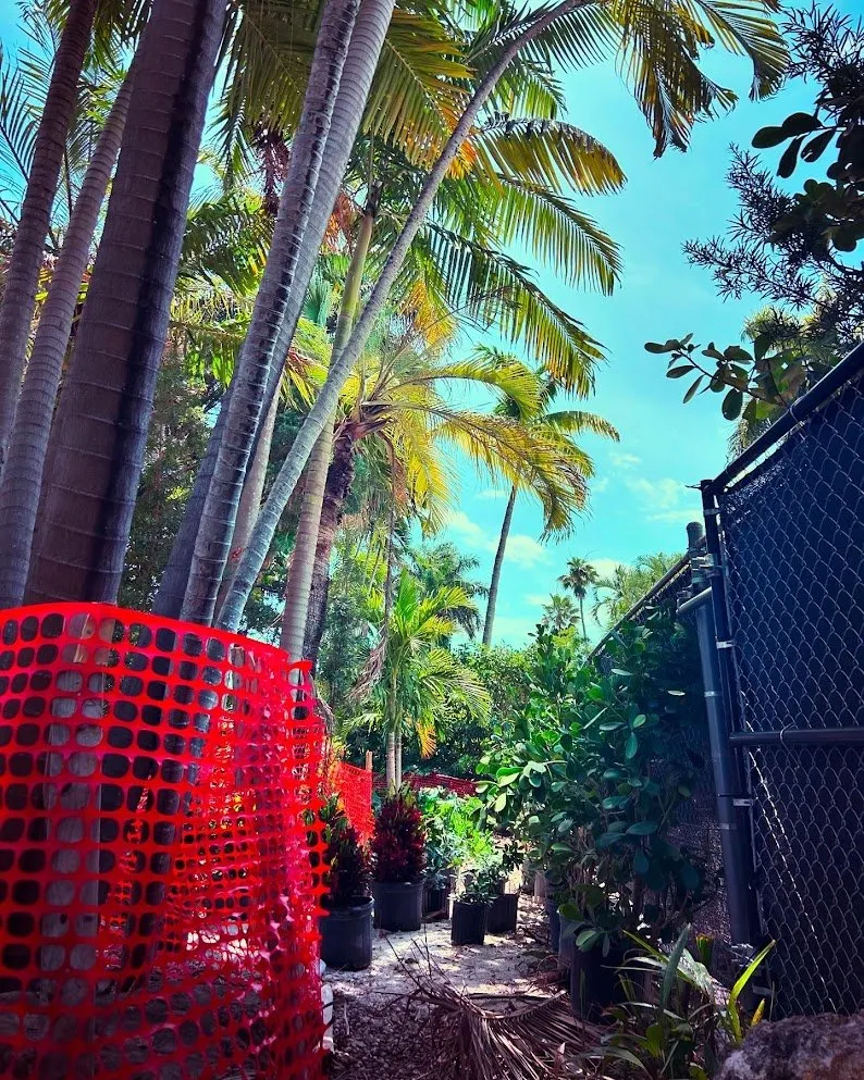 Custom yard cleanup service experts serving Miami Beach, FL - Arc'Scape