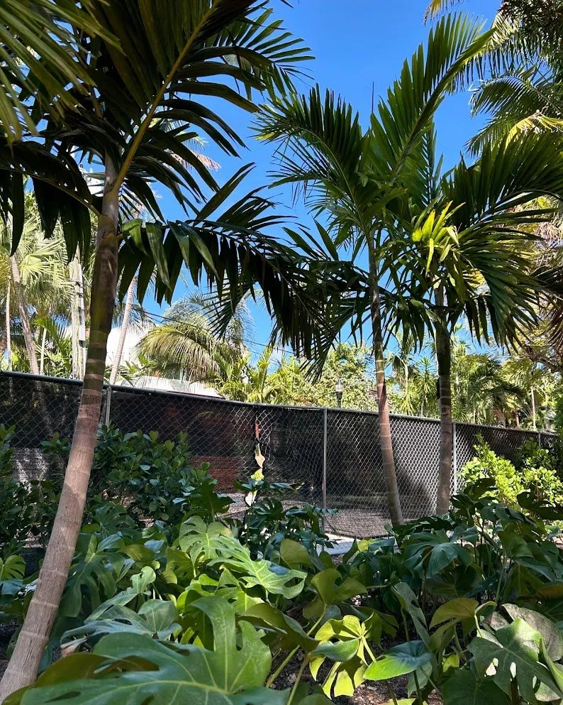 Professional outdoor landscaping in Miami Beach, FL - Arc'Scape