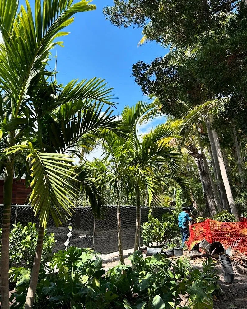 Trusted outdoor landscaping near you in Miami Beach, FL by Arc'Scape