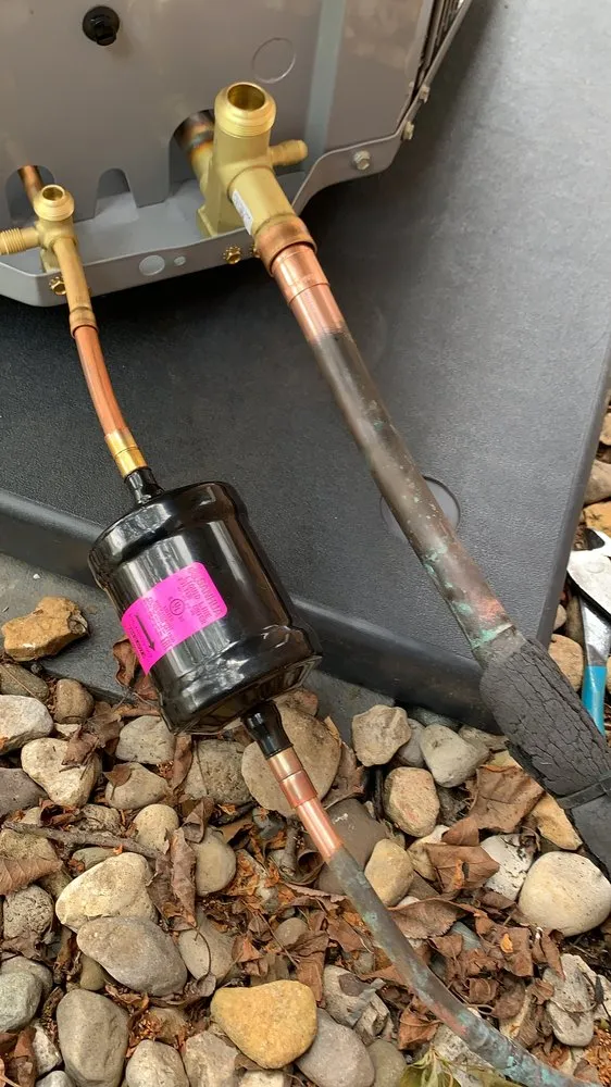 Expert lawn care service experts serving Indianapolis, IN - Arctic Bear Services