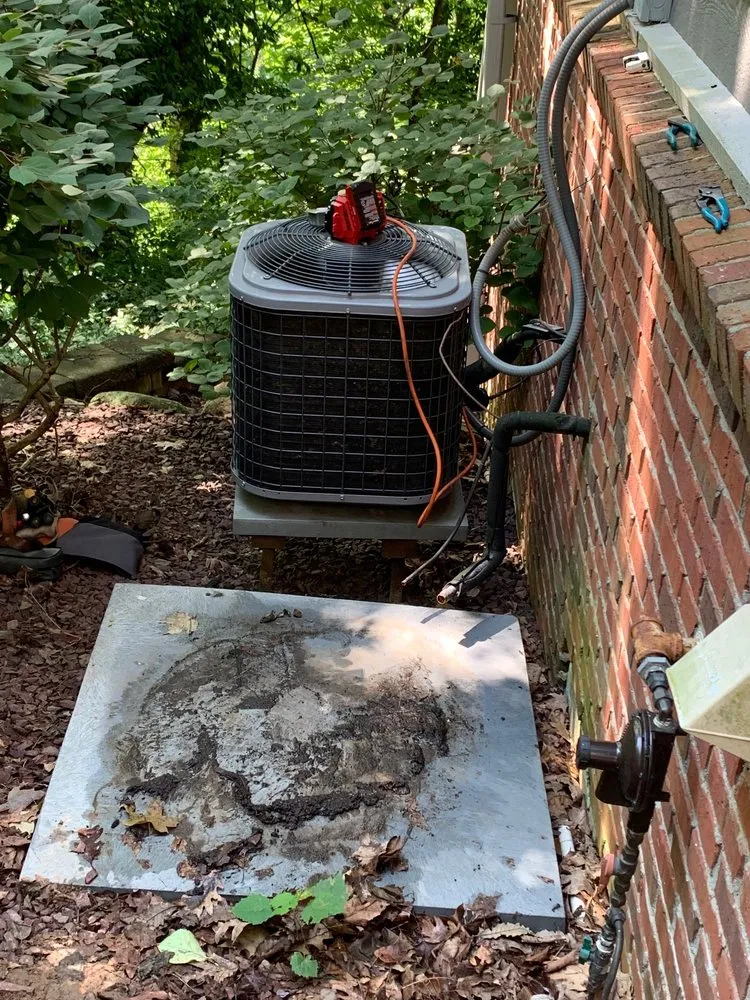 Expert outdoor landscaping experts serving Indianapolis, IN - Arctic Bear Services