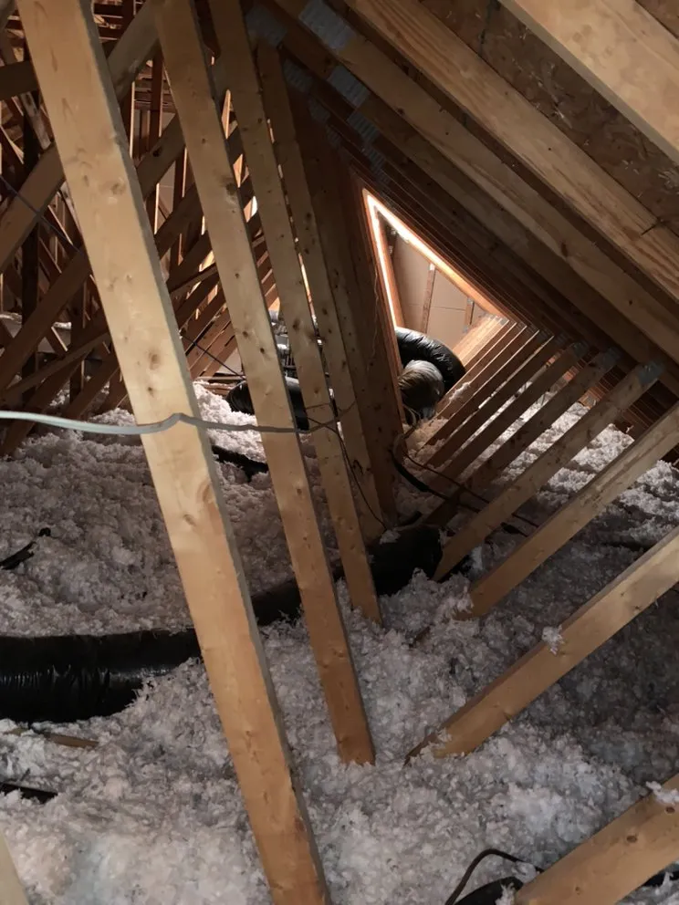 Top-rated yard maintenance experts serving Indianapolis, IN - Arctic Bear Services