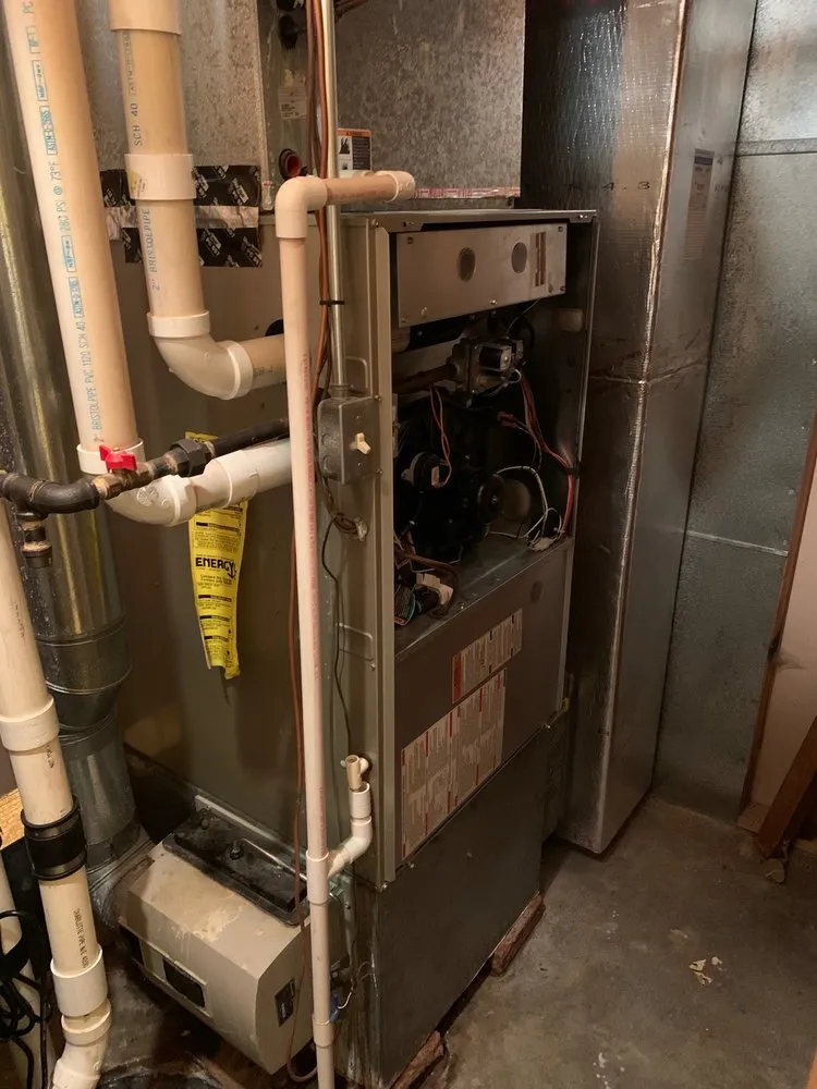 Trusted landscaping services in Indianapolis, IN - Arctic Bear Services