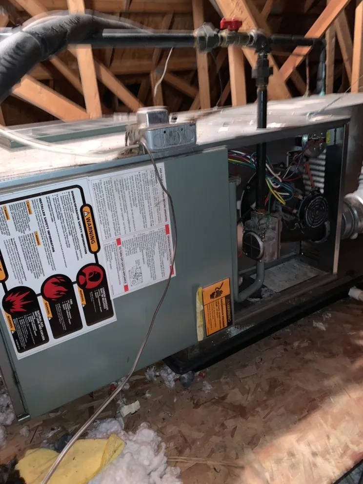 Affordable lawn mowing service for year-round maintenance across Indianapolis, IN - Arctic Bear Services