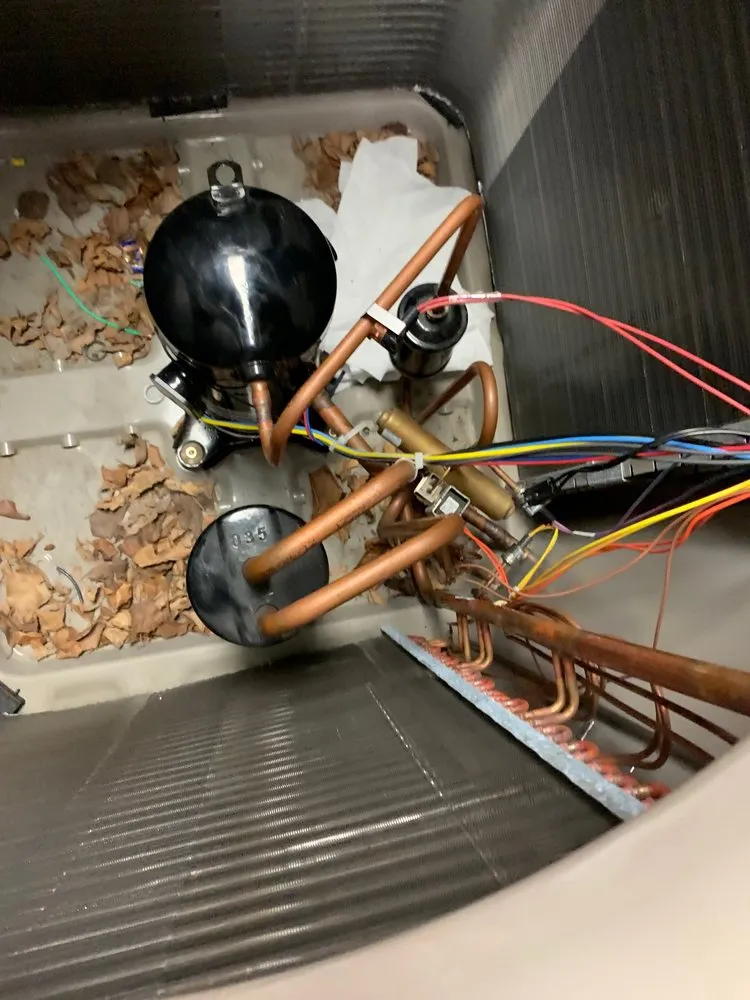 Custom residential landscaping for homes in Indianapolis, IN by Arctic Bear Services