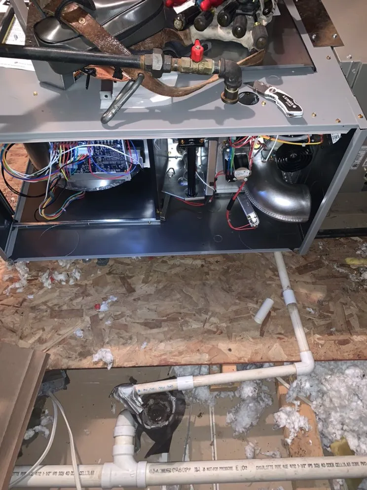 Professional landscaping services in Indianapolis, IN by Arctic Bear Services