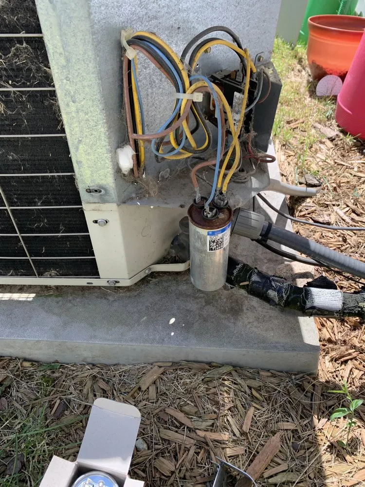 Custom yard cleanup service experts serving Indianapolis, IN - Arctic Bear Services