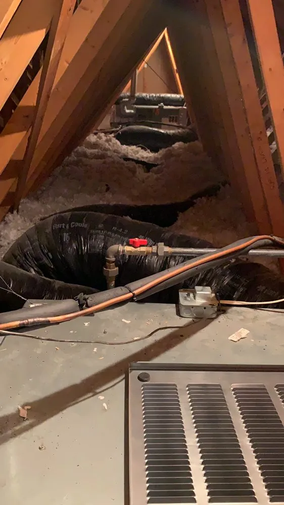 Custom yard maintenance in Indianapolis, IN by Arctic Bear Services