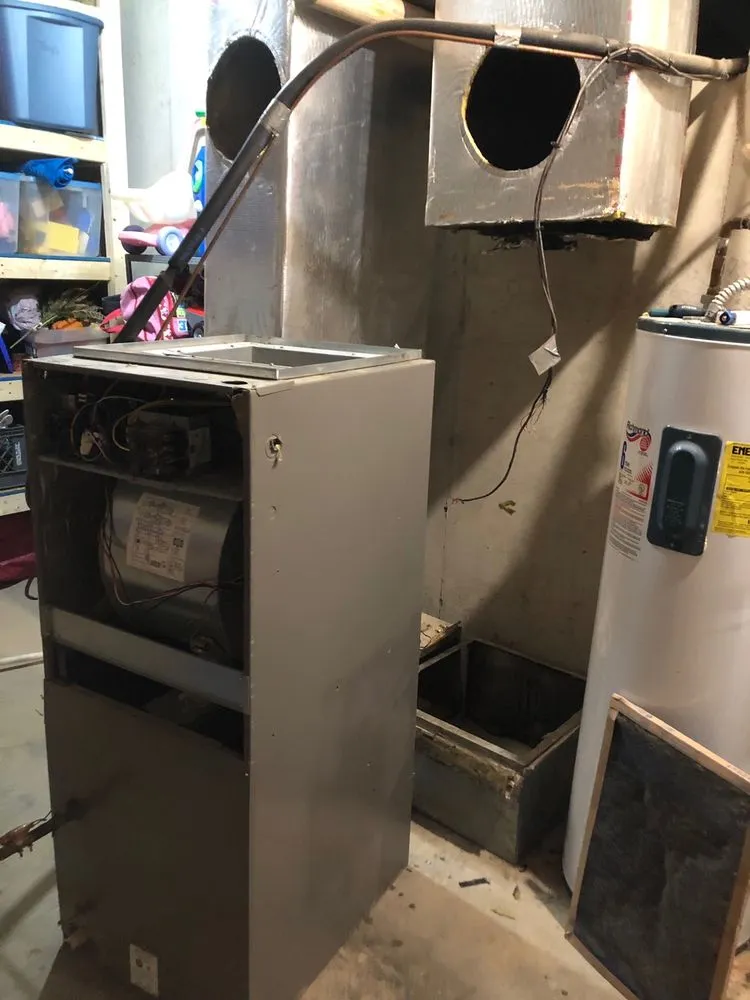 Custom lawn care service experts serving Indianapolis, IN - Arctic Bear Services