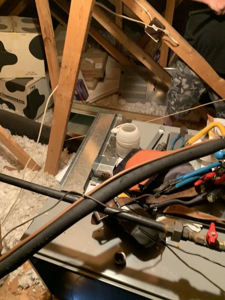 Reliable landscape design experts serving Indianapolis, IN - Arctic Bear Services