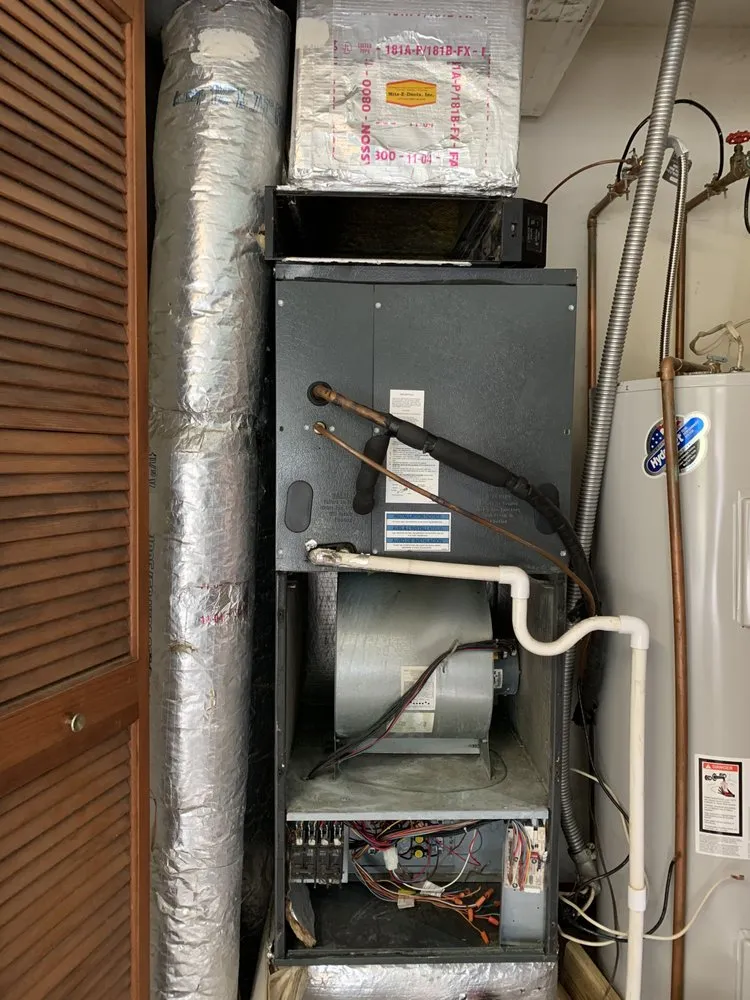 Top-rated landscape design experts serving Indianapolis, IN - Arctic Bear Services