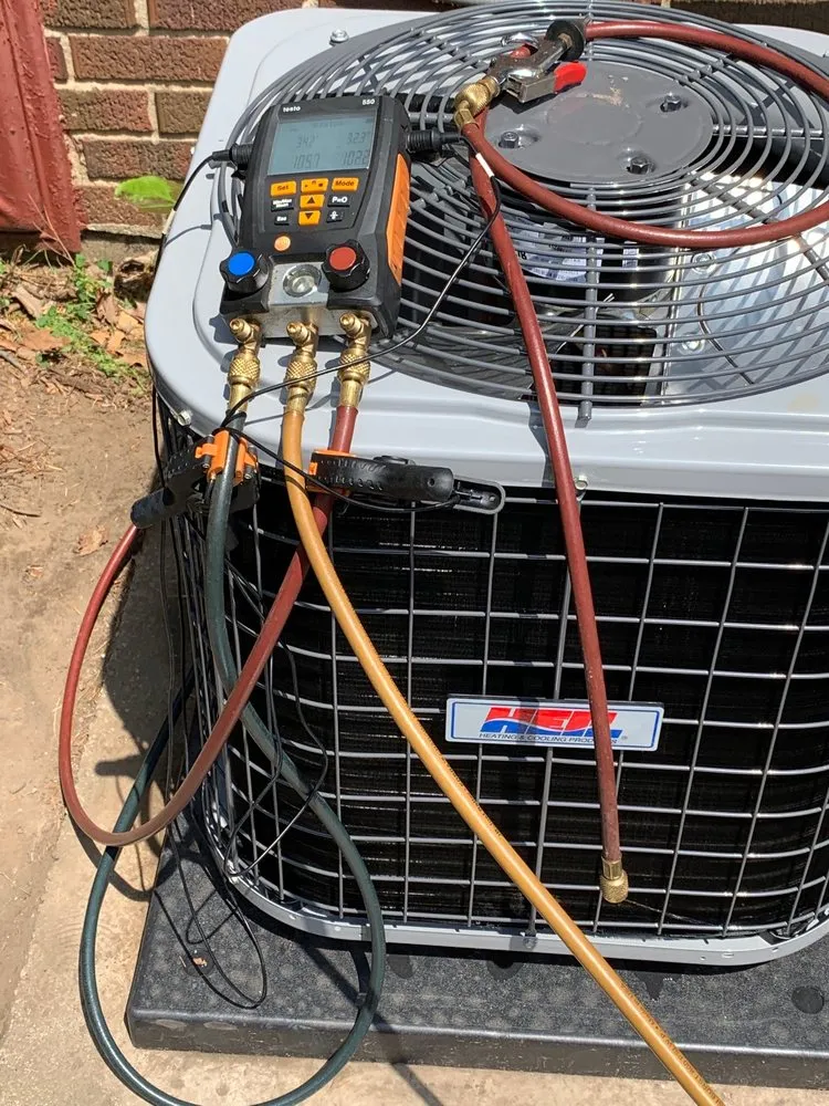 Local yard cleanup service experts serving Indianapolis, IN - Arctic Bear Services