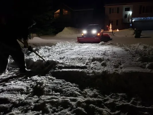 Arctic Dog Landscaping & Snow Removal Logo