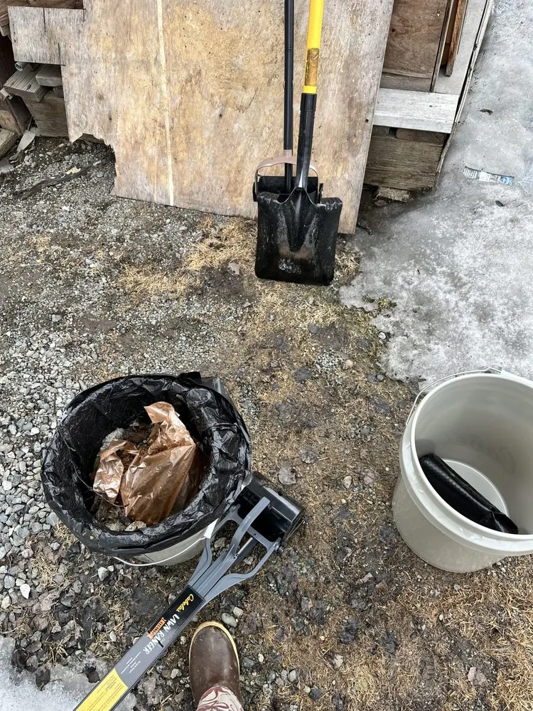 Professional yard cleanup service for beautiful yards across Anchorage, AK - Arctic Eagle Property Maintenance