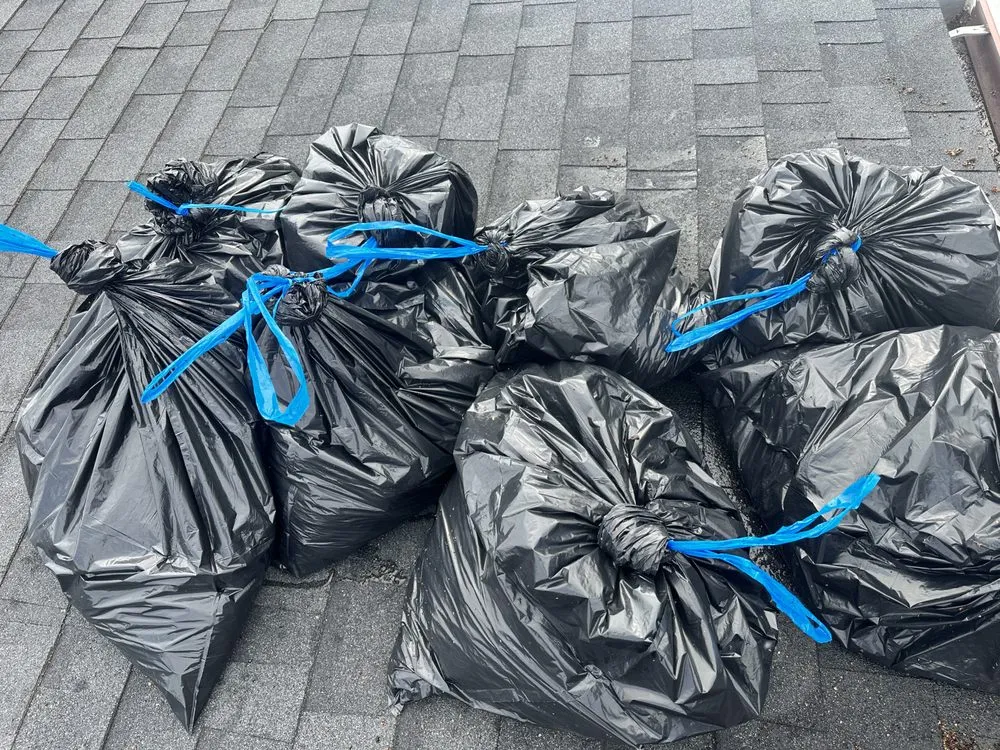 Custom yard cleanup service in Anchorage, AK by Arctic Eagle Property Maintenance