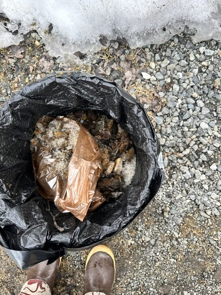 Professional residential landscaping for year-round maintenance in Anchorage, AK by Arctic Eagle Property Maintenance