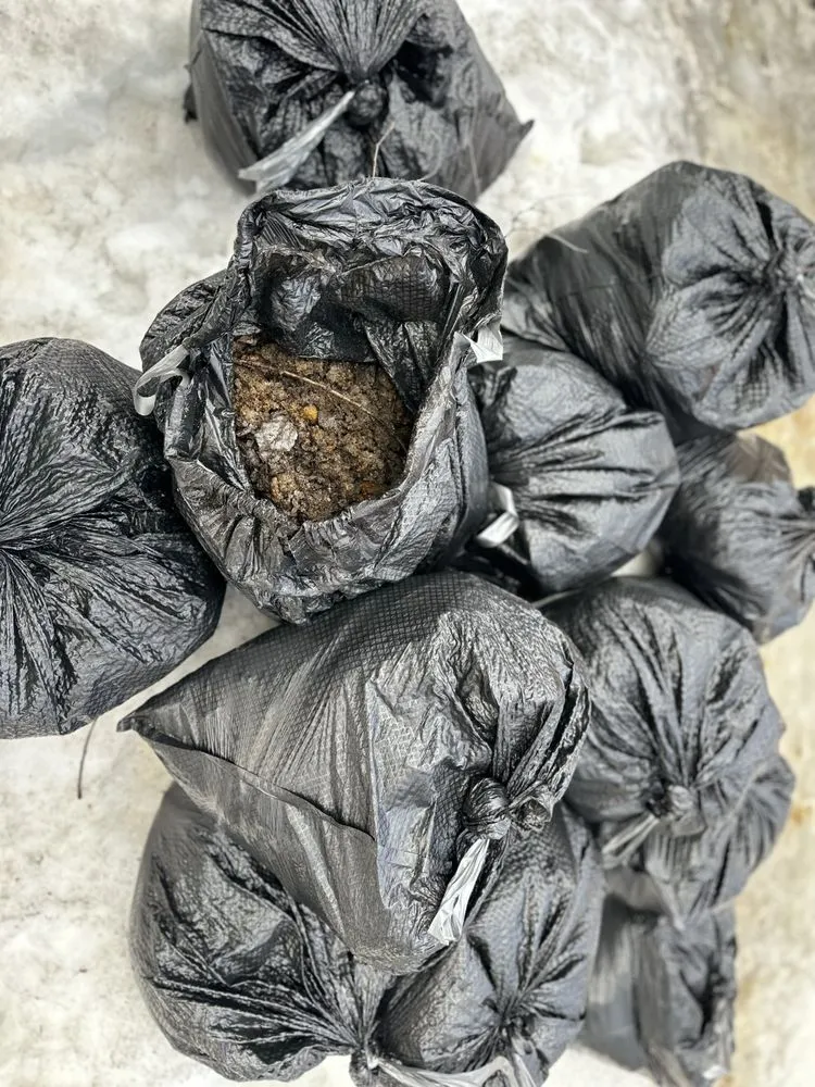 Top-rated residential landscaping in Anchorage, AK - Arctic Eagle Property Maintenance