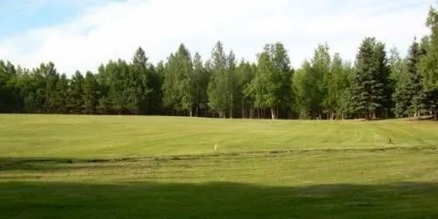 Trusted yard cleanup service in Anchorage, AK - Arctic Green