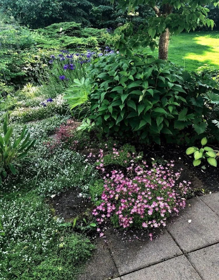 Local yard maintenance near you across Anchorage, AK - Arctic Sunshine