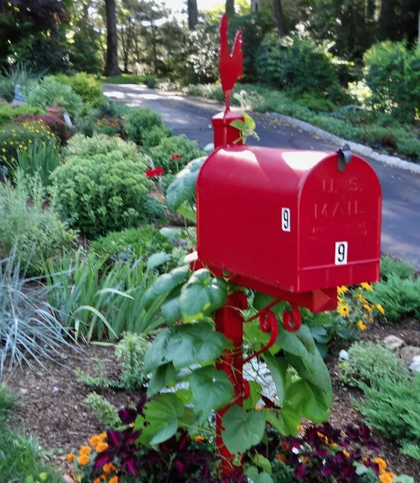 Professional garden landscaping for outdoor upgrades across Anchorage, AK - Arctic Sunshine