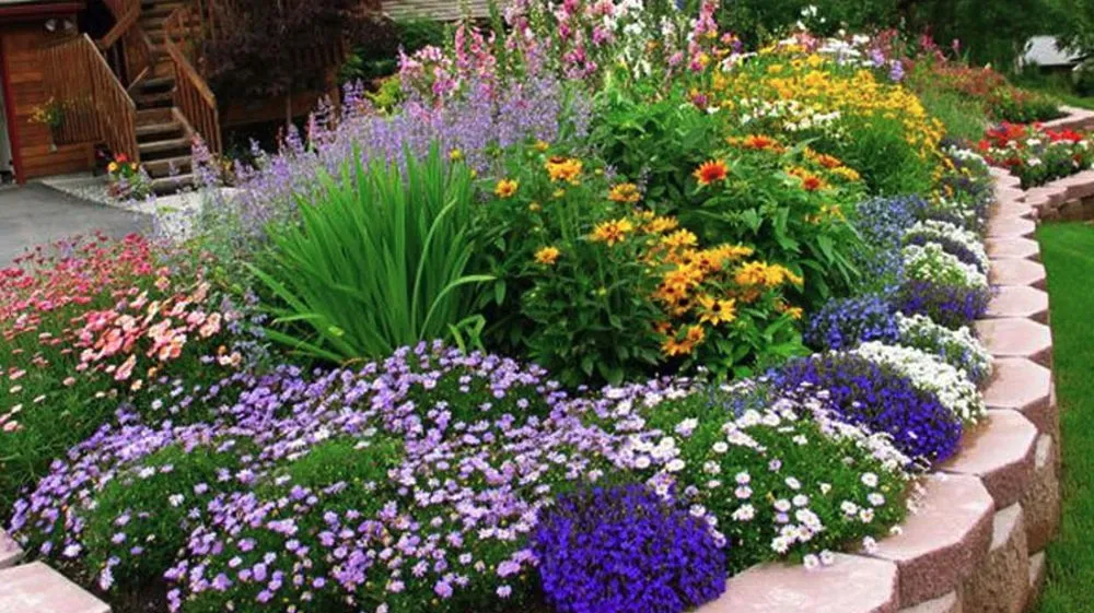 Affordable yard maintenance in Anchorage, AK by Arctic Sunshine