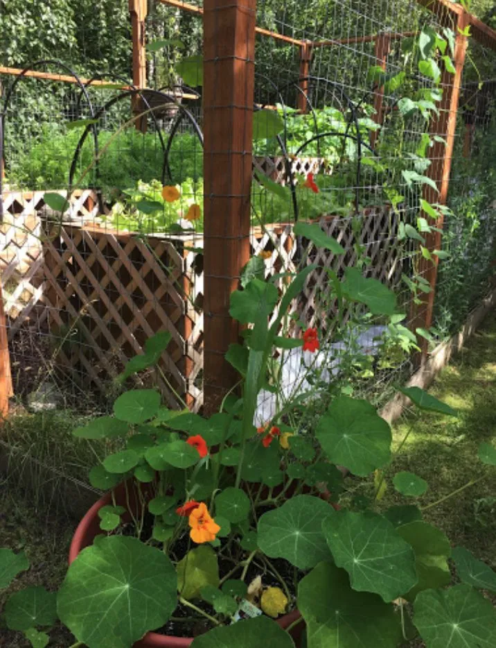 Reliable garden landscaping for residential properties in Anchorage, AK by Arctic Sunshine