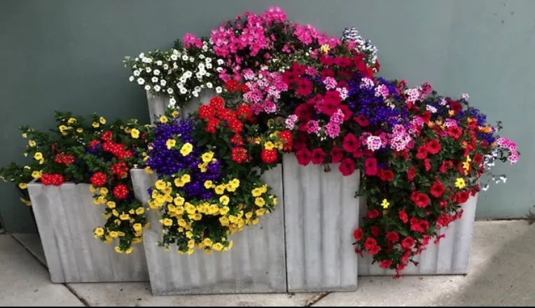 Reliable landscape design in Anchorage, AK - Arctic Sunshine