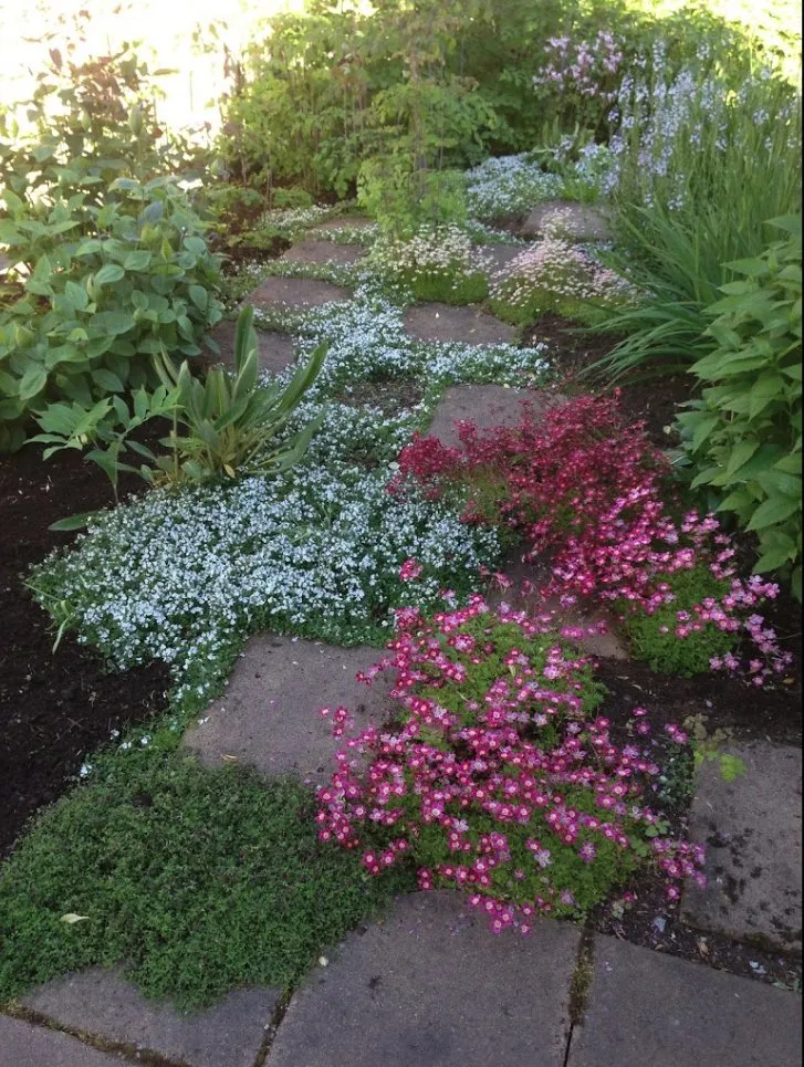 Reliable outdoor landscaping in Anchorage, AK by Arctic Sunshine