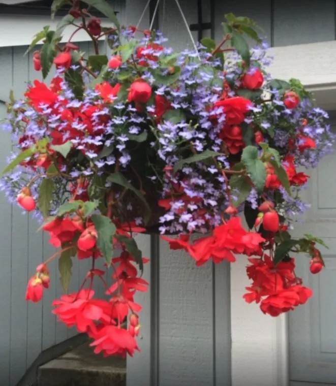 Top-rated landscape design for outdoor upgrades in Anchorage, AK by Arctic Sunshine